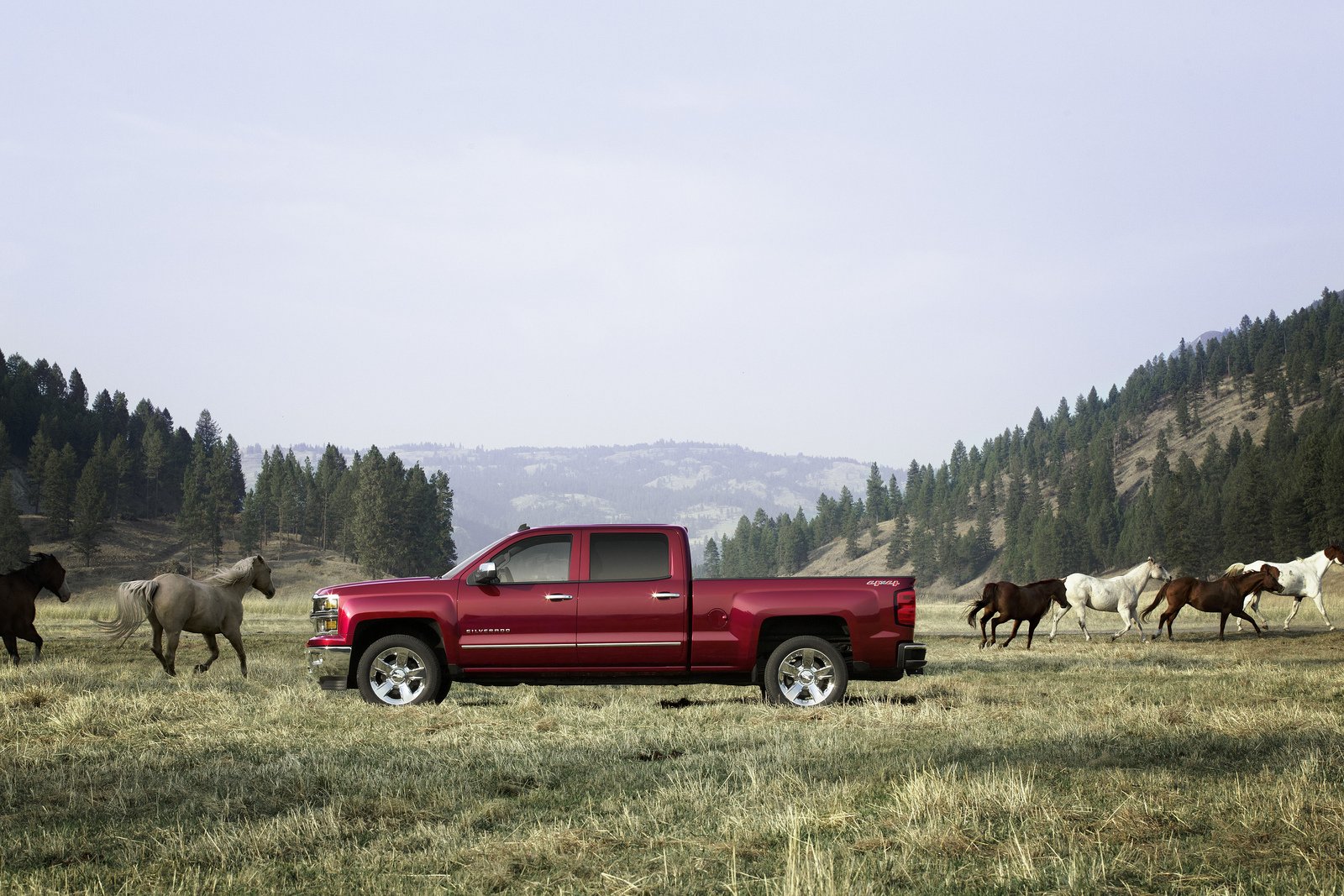 Chevrolet Silverado Auto Insurance (2024)