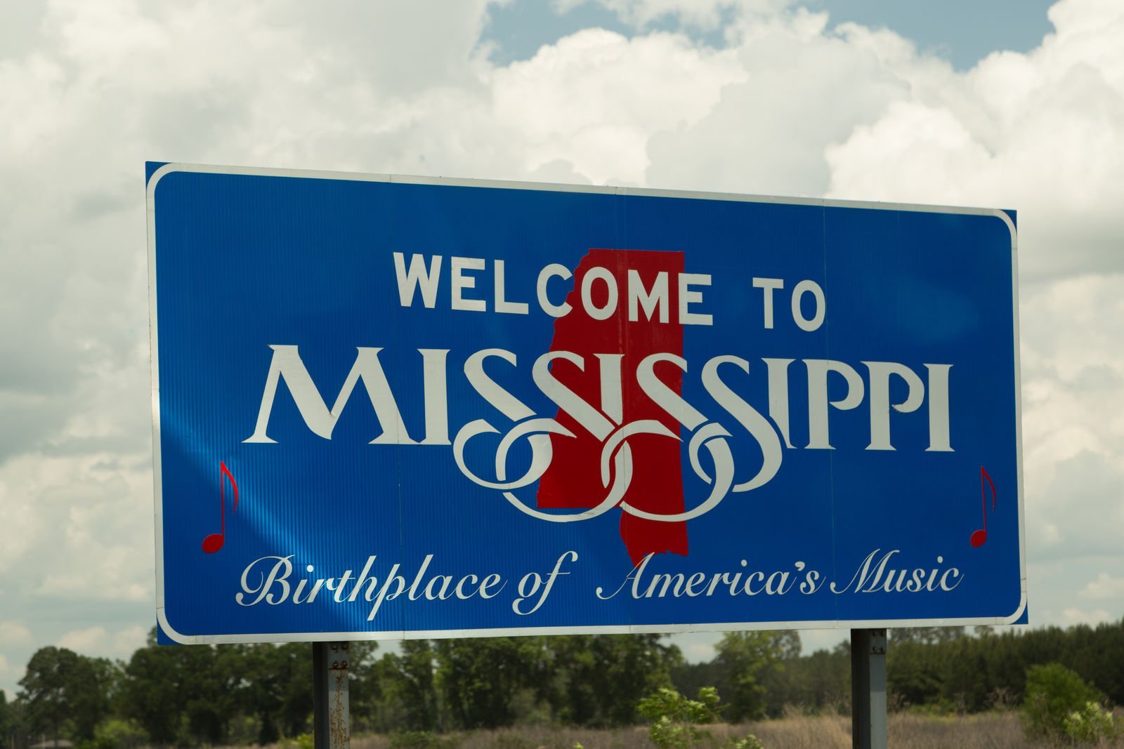 Mississippi Minimum Auto Insurance Requirements (2024)