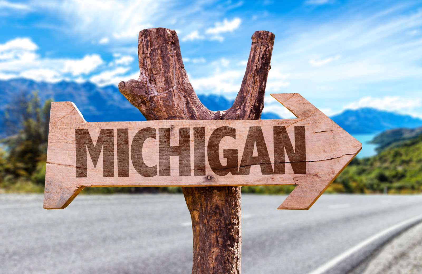 Michigan Minimum Auto Insurance Requirements (2024)