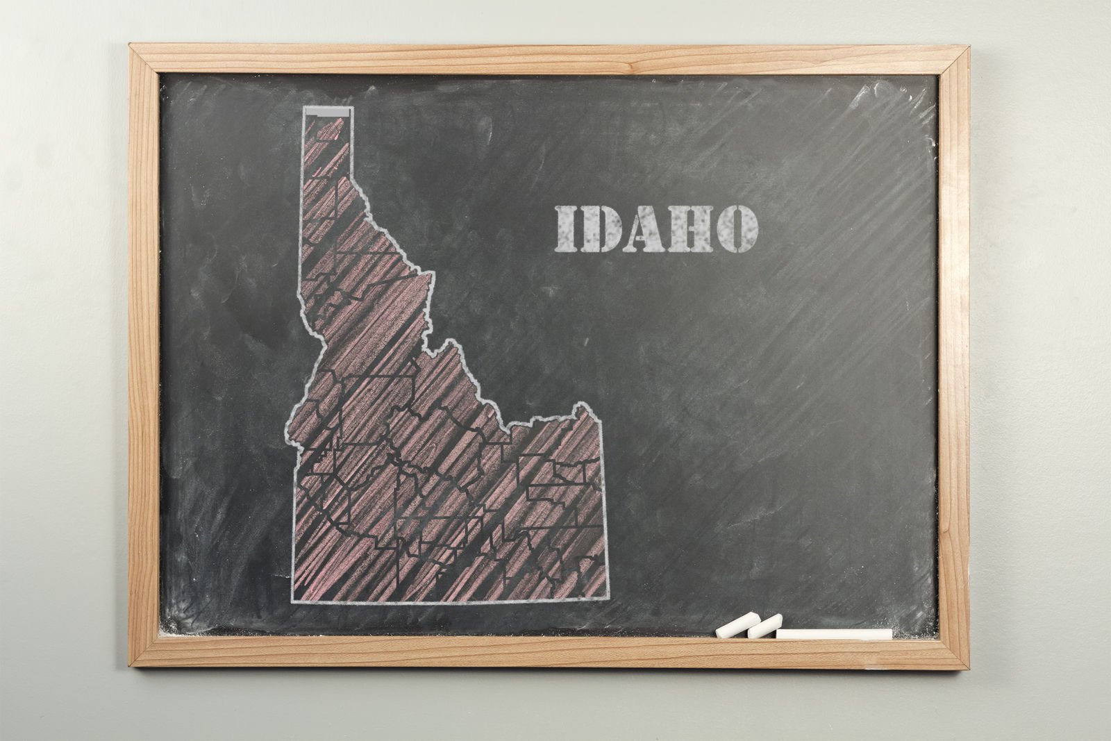 Idaho Minimum Auto Insurance Requirements (2024)