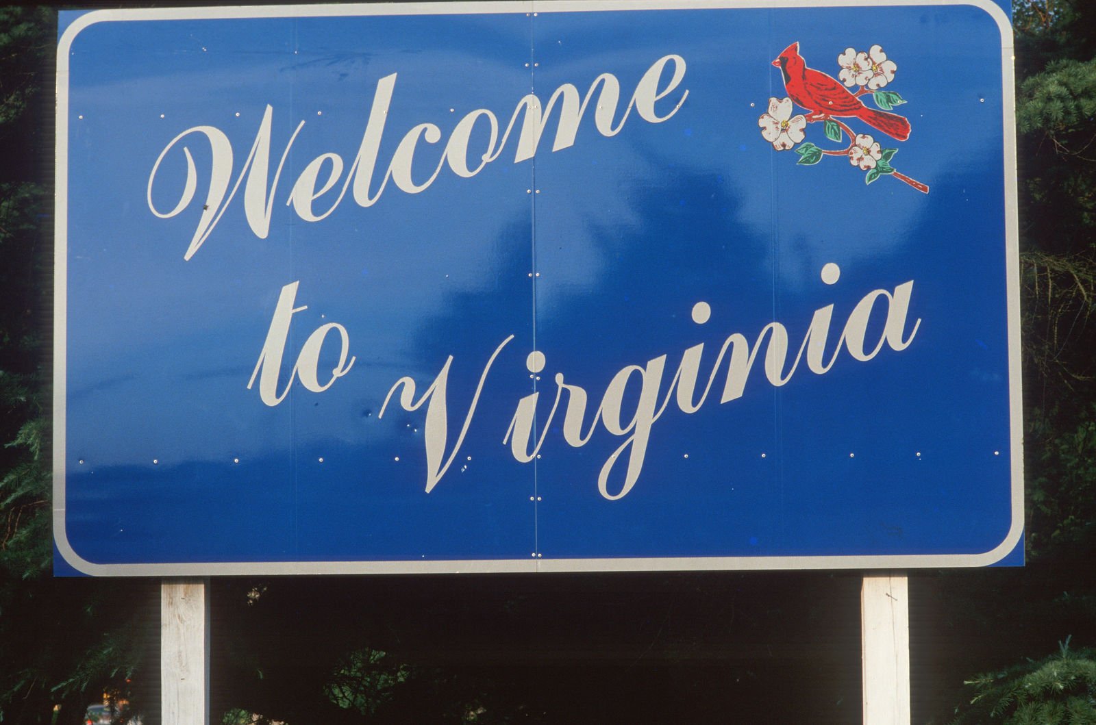 Virginia Minimum Auto Insurance Requirements (2024)