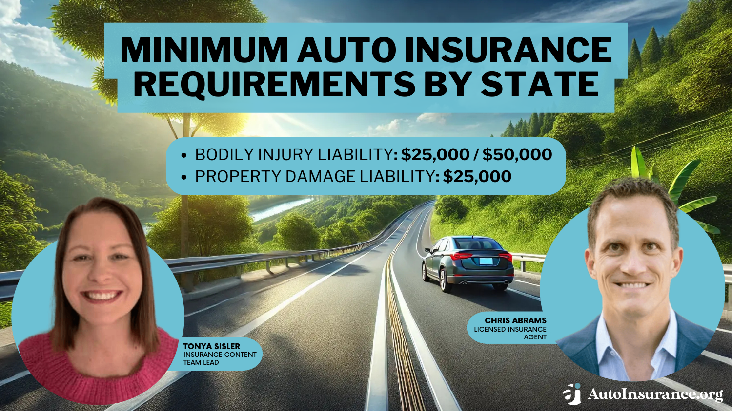Minimum Auto Insurance Requirements by State
